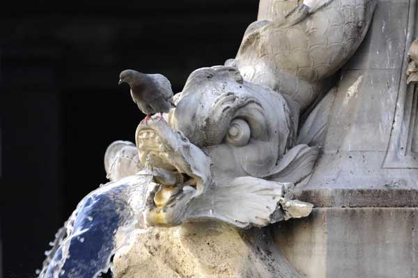 Le fontane di Roma di Giovanni Coccia