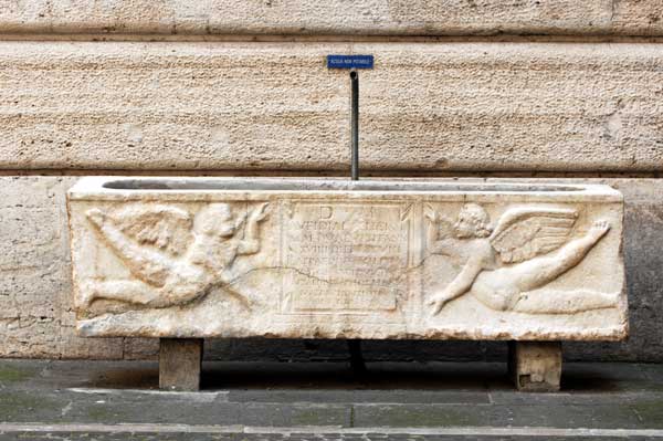 Le fontane di Roma di Giovanni Coccia