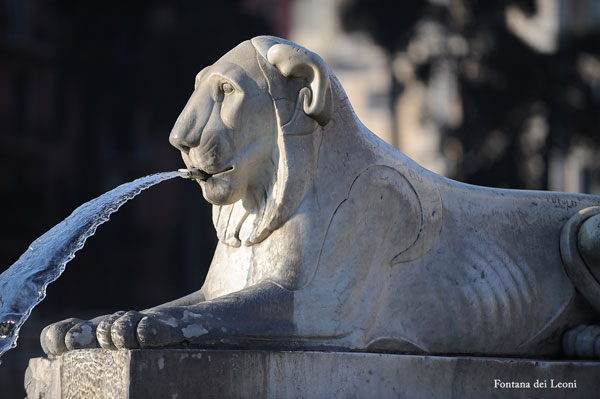 Fontana dei Leoni - Roma