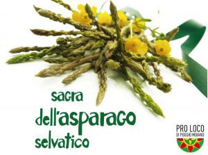 Poggio Moiano-Sagra dell'asparago selvatico