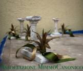 Agave d'Oro - Mimmo Canonico 2012