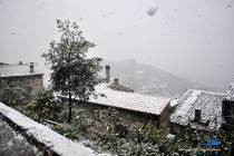 Neve a Montecelio 3 Febbraio 2012 - Foto di Damiano Graziani
