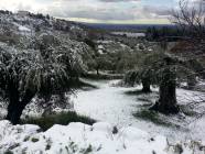 Neve a Montecelio 16 Gennaio 2013