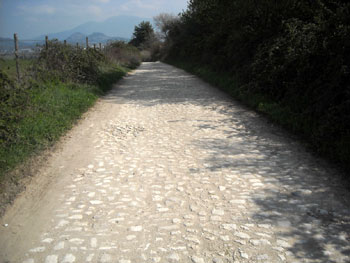 Via della Selciatella a Guidonia Montecelio Via della Selciatella a Guidonia Montecelio
