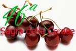 Guidonia Montecelio e Dintorni. Articoli,news,eventi,sport,curiosit� e tanto altro ancora sul quale focalizzare l'attenzione per Guidonia Montecelio, Tivoli e dintorni