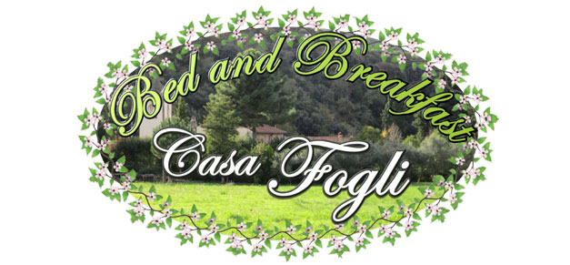 Il B&B Madonna di Fucinaia in Toscana sorge su un promontorio difronte all'Isola d'Elba vicino al golfo di Baratti alla spiaggia della Sterpaia a Campiglia Marittima vicinissimo alle Terme di Calidario a Venturina
